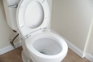 leaks and drips and running toilets
